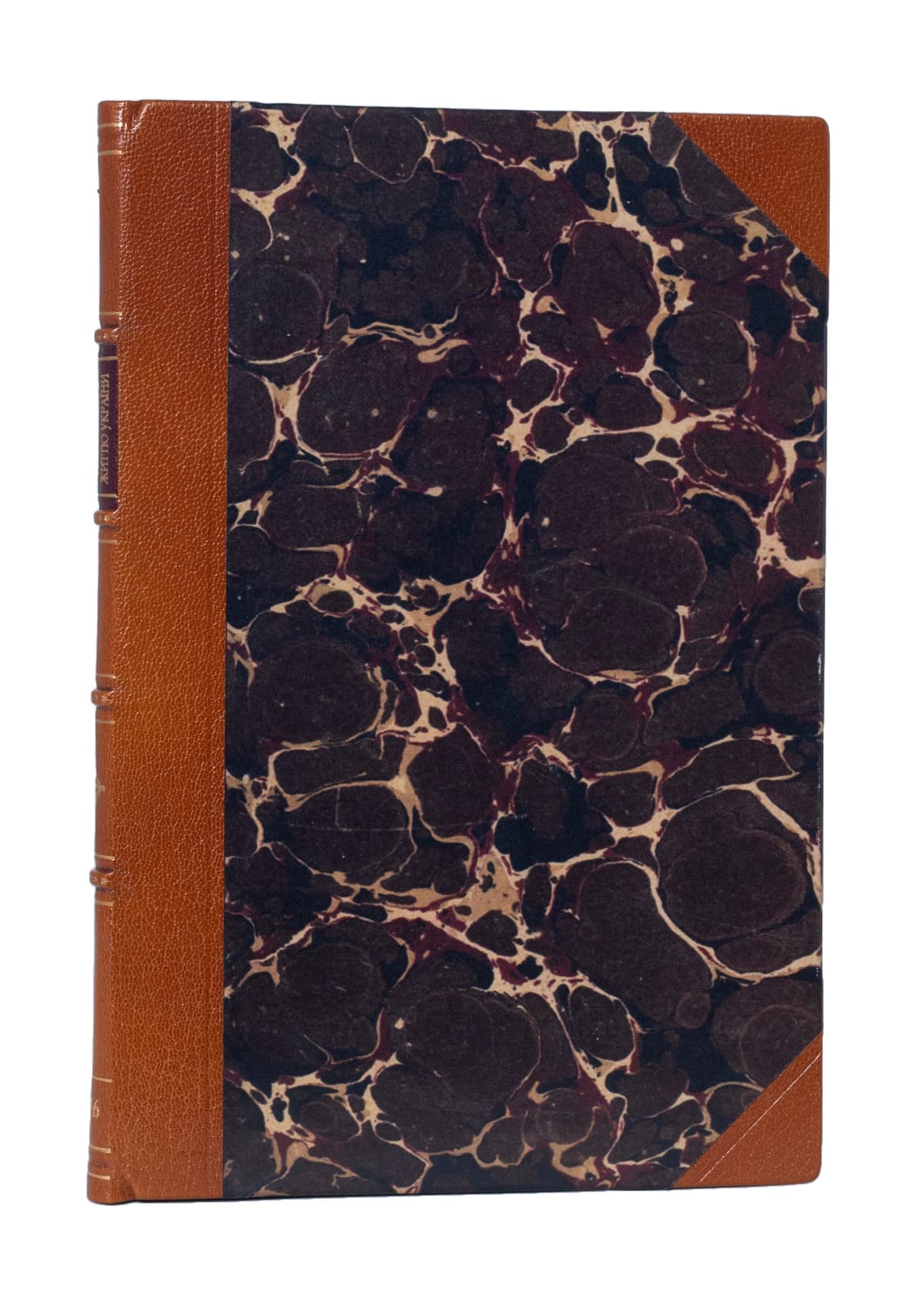 Лозинський М. Галичина в життю України