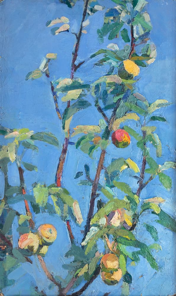 Гілка яблуні