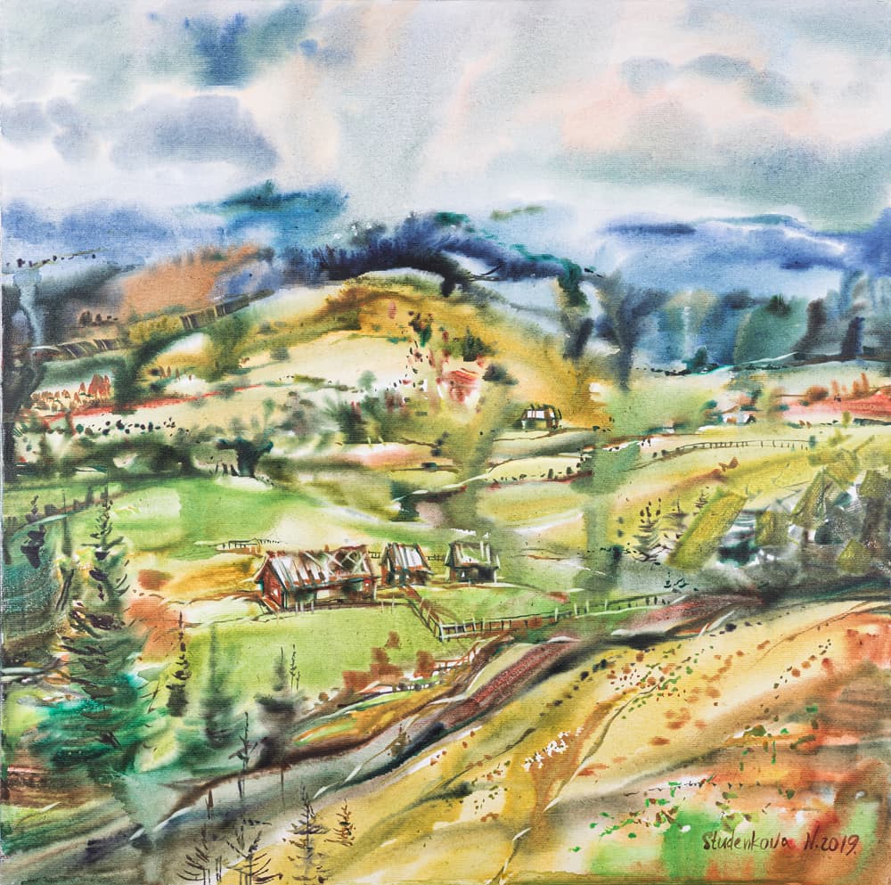 Полонина на Буковині