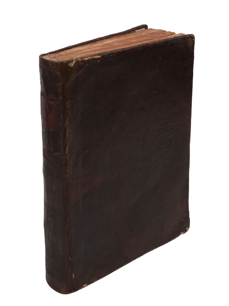 [Рідкісна рання публікація зразків українського фольклору.] МОЛОДЧИКЪ СЪ МОЛОДКОЮ НА ГУЛЯНЬѢ СЪ ПѢСЕННИКАМИ