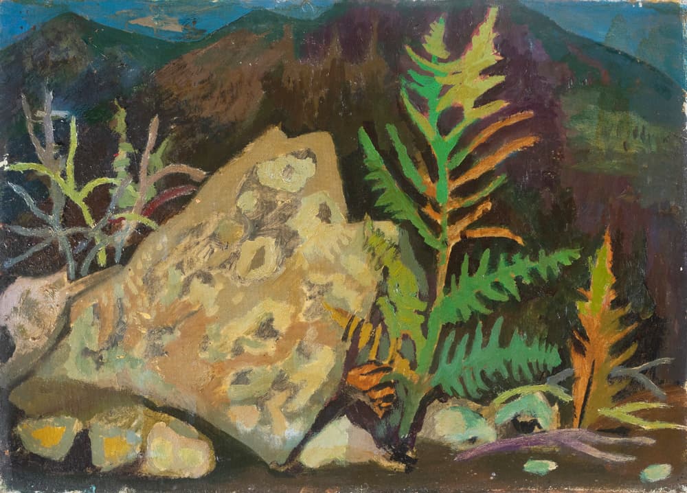  Дземброня. Камінь і папороть