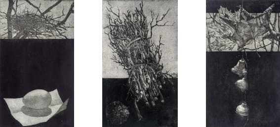 Із циклу «Сухі гілки»