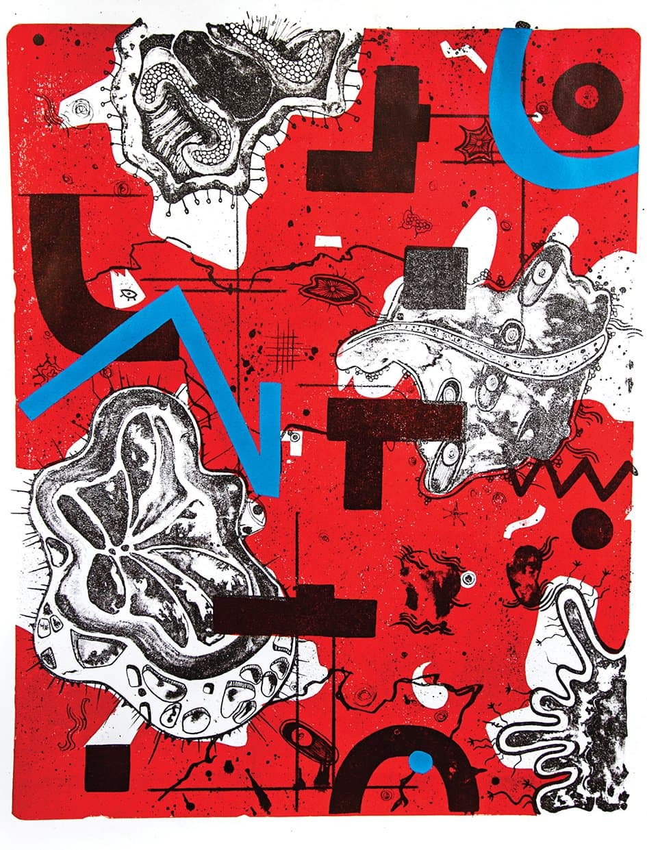 Біоконструктор