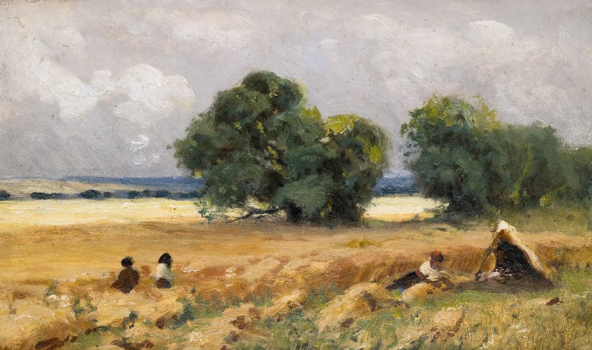 Серпень, хлібне поле