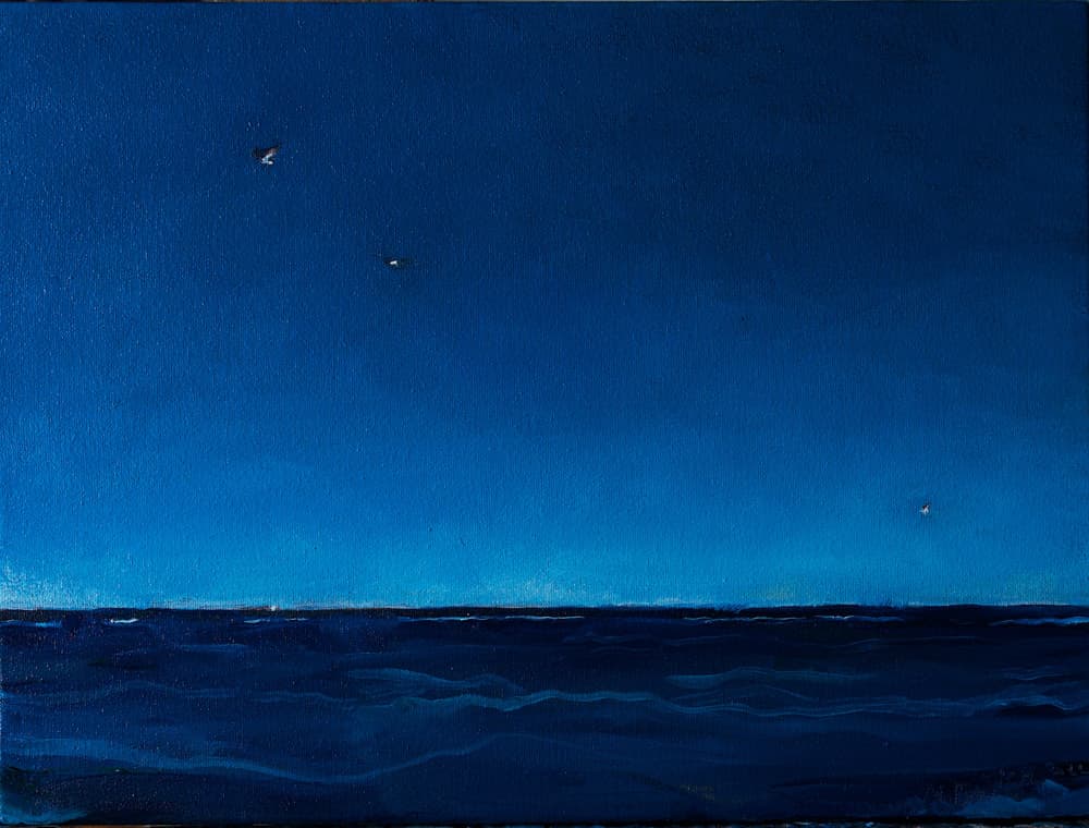 Караван. Птахи