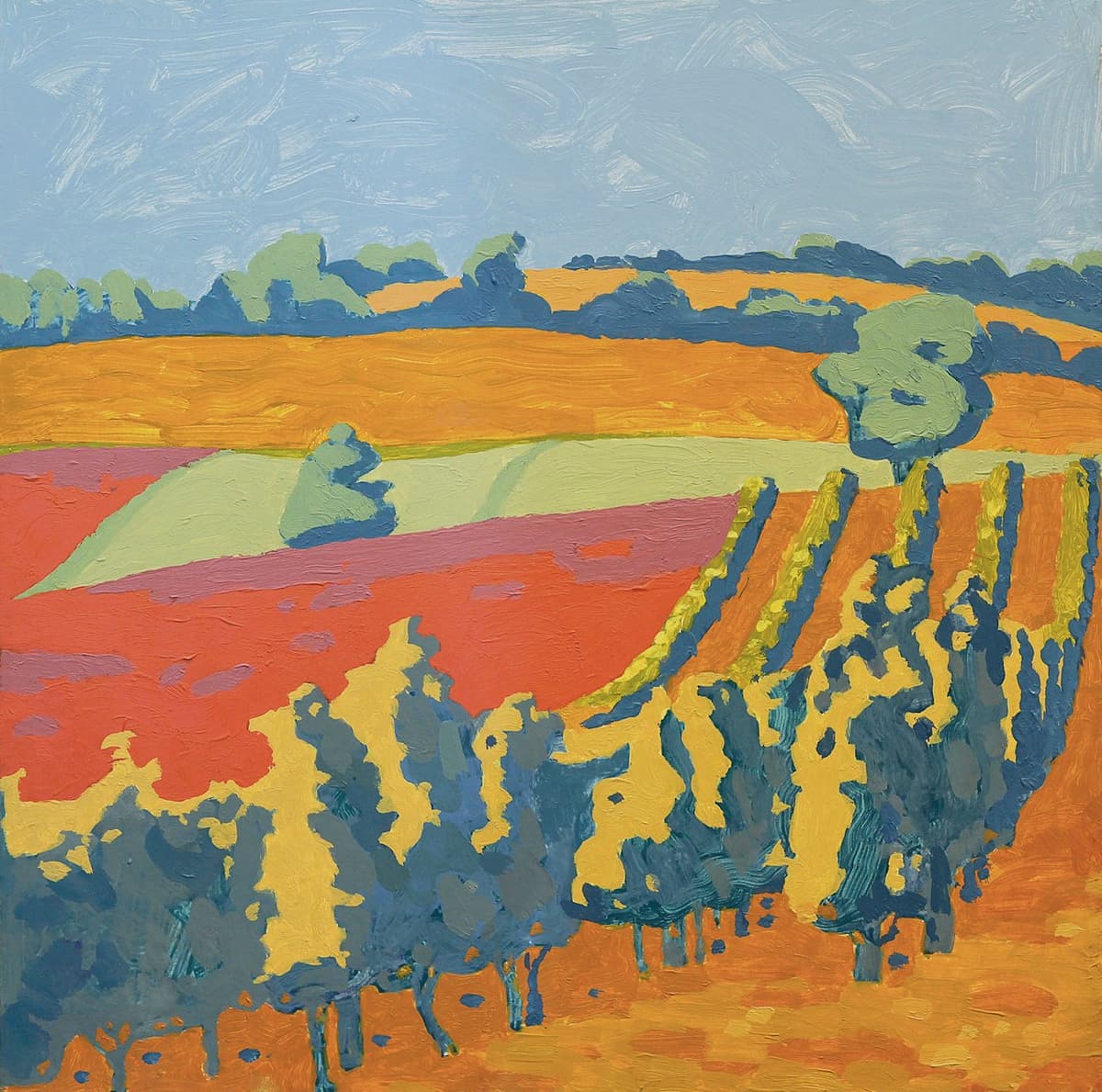 Виноградники