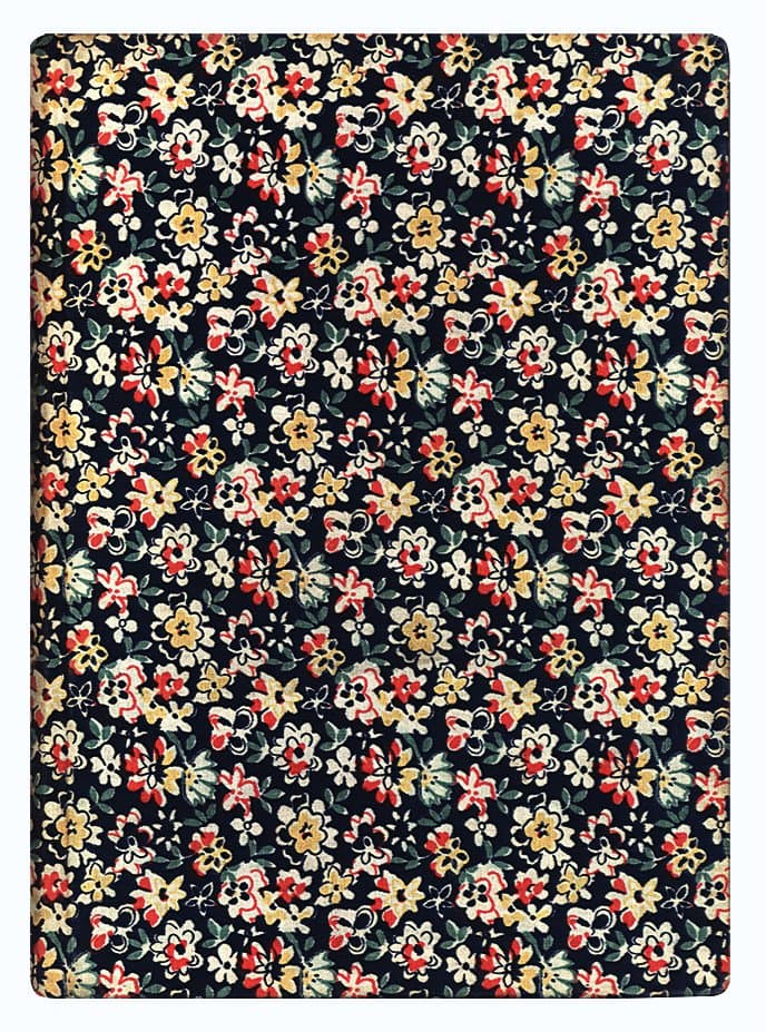 Галичина, Буковина, Угорская Русь