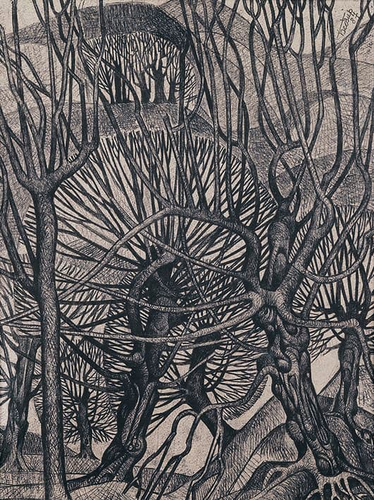 Із серії «З життя дерев»