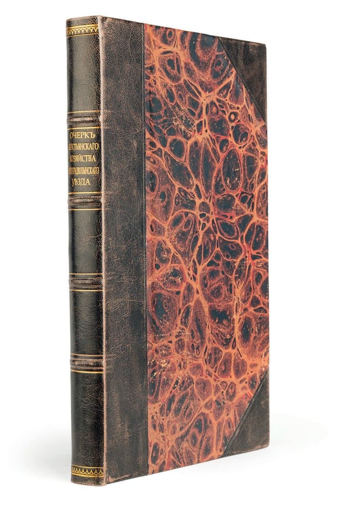 Очерк крестьянского хозяйства Новоградволынского уезда