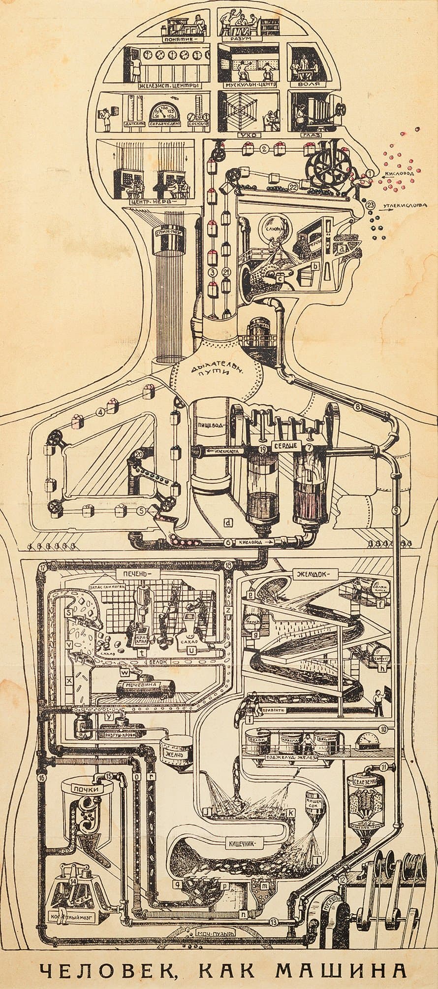 Плакат. Человек, как машина
