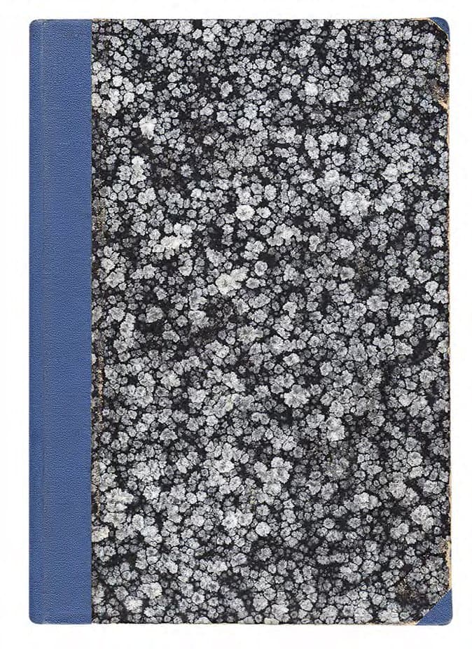 ГАЛУЩИНСЬКИЙ М. З УКРАЇНСЬКИМИ СІЧОВИМИ СТРІЛЬЦЯМИ: СПОМИНИ З РР. 1914–1915