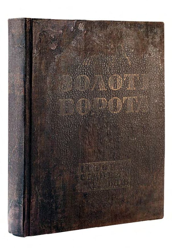 Золоті ворота. Історія січових стрільців 1917–1919