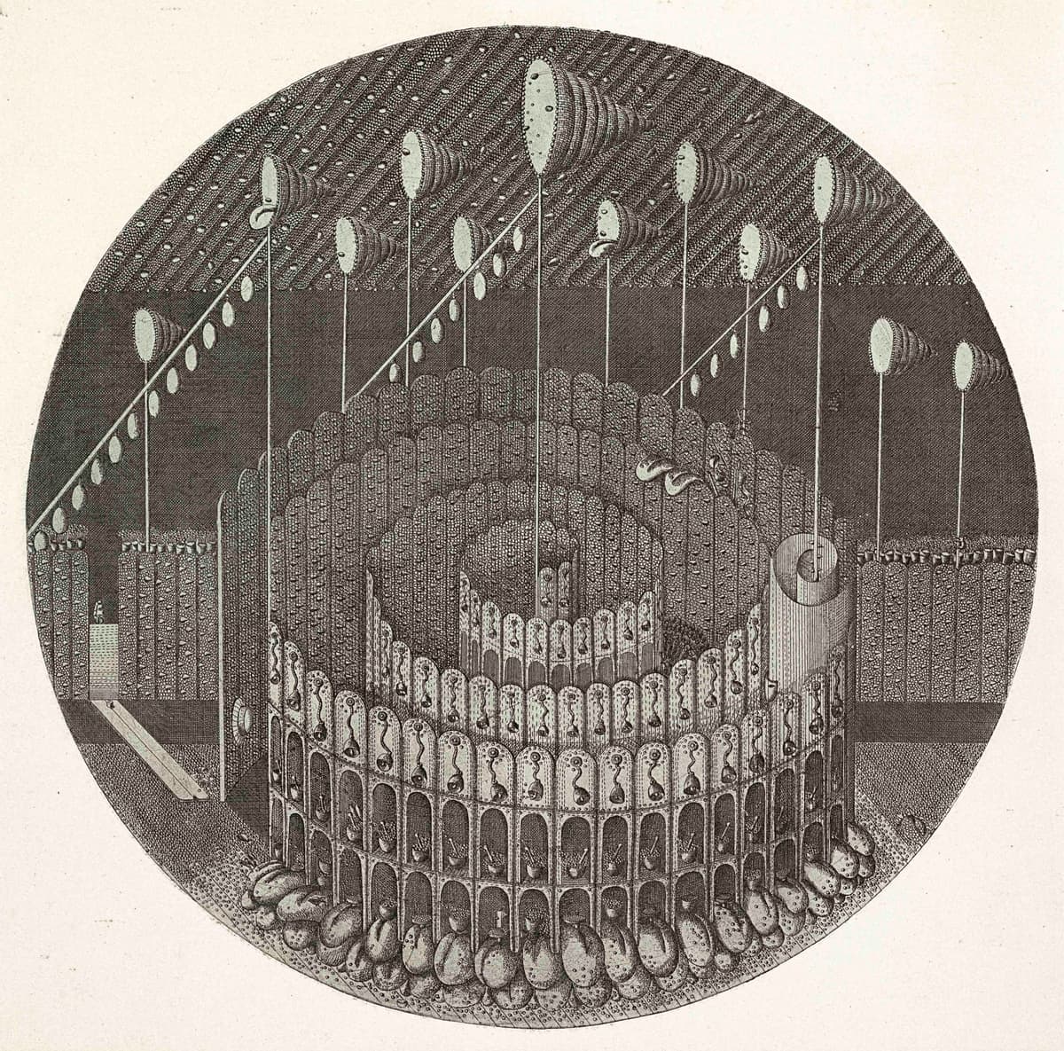 Аркуш 8 циклу «Королівство абсурдів Джонатана Свіфта»
