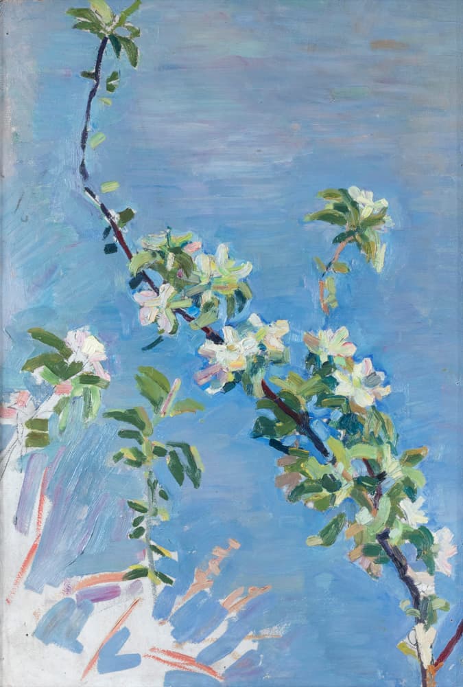 Гілка яблуні