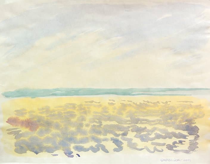 Бирючий острів