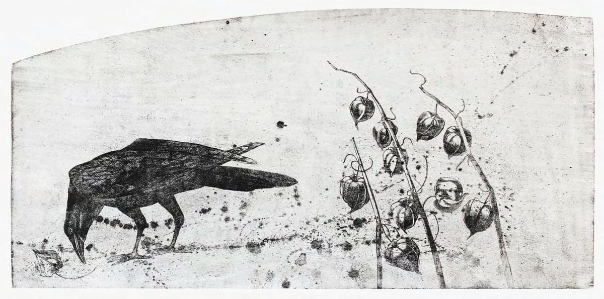 Стратійчук О. Ворона і фізаліс