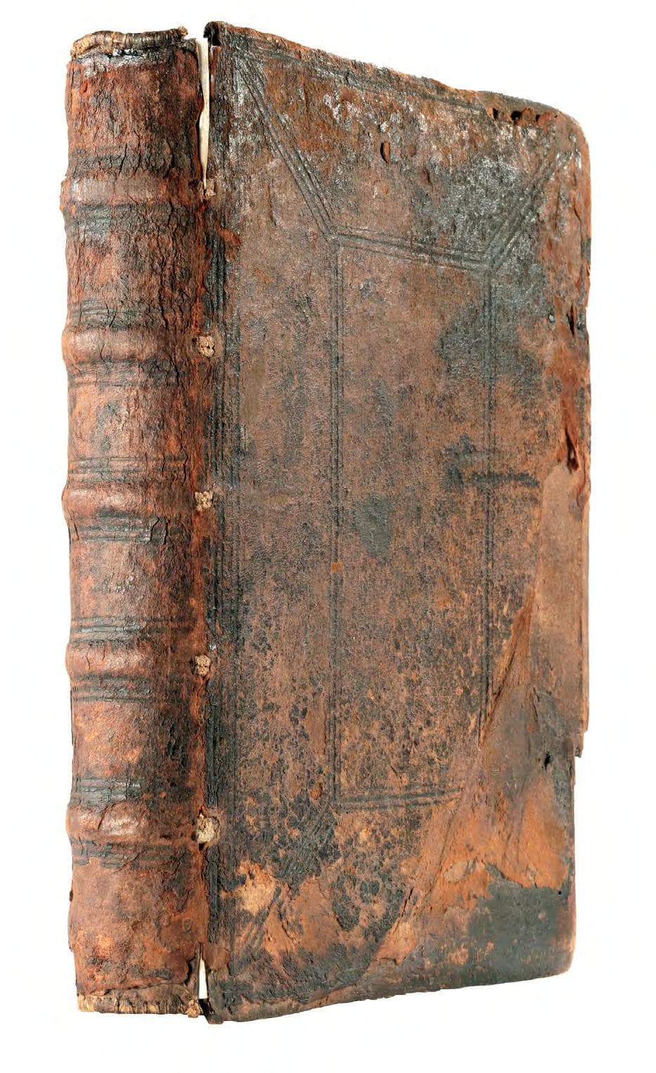 Historia de vitis pontificvm romanorvm. A D. N. Iesu Christo Usque ad Paulum II