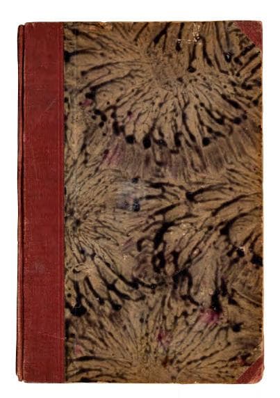 Доценко О. Зимовий похід (6 XII. 1919 — 6. V. 1920)