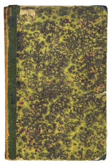 Наѣзды гайдамакъ на Западную Украину, Въ XVIII столѣтіи: 1733–1768